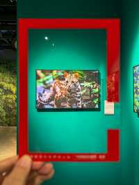 避暑好去處！南寧暑假帶娃睇展首選！