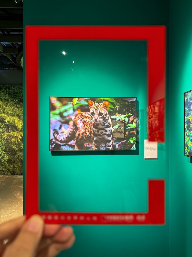 避暑好去處！南寧暑假帶娃睇展首選！