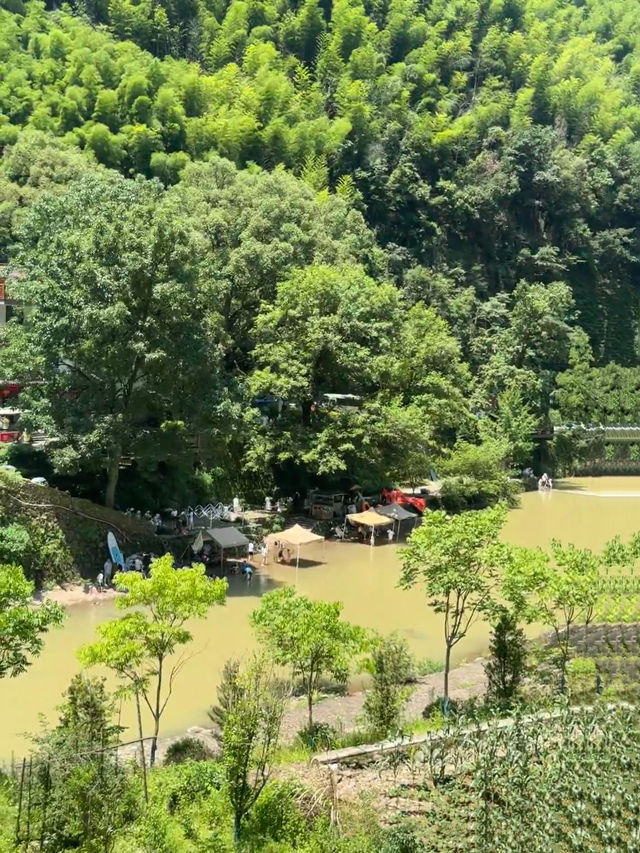 嚟桐廬 蘆茨灣清涼一夏！