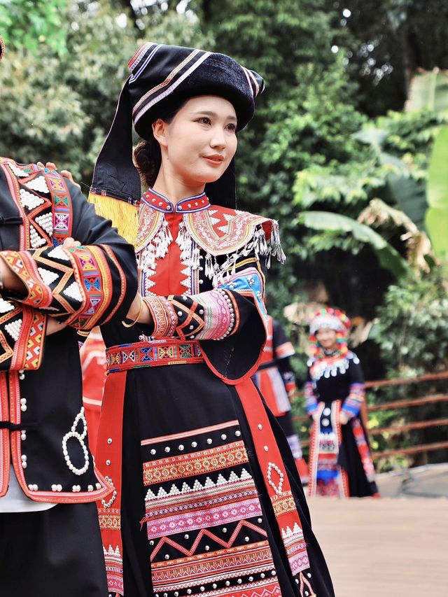 普洱森林之旅｜放假就應該去冇天花板嘅地方
