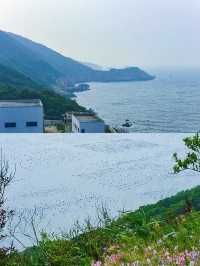 上海周邊嘅熒光海花鳥島，暑假避暑超浪漫