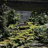 Shenzhen Fairy Lake Botanical Gardens!