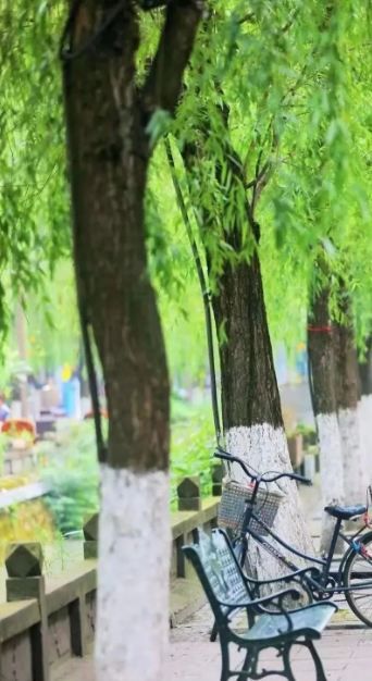 悠閒愜意嘅古城慢生活