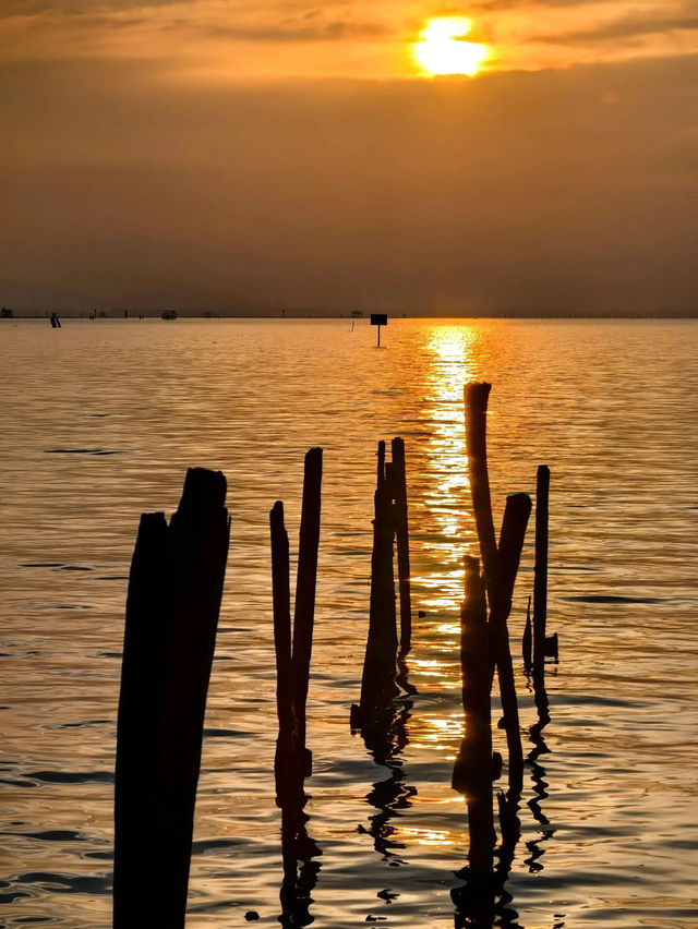 當洱海將夕陽泡成橘色酒