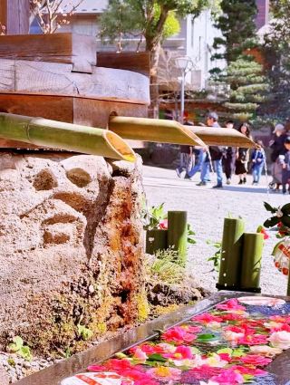 Tokyo's Hidden Gem: The Ancient Charm and Zen Serenity of Jindaiji Temple