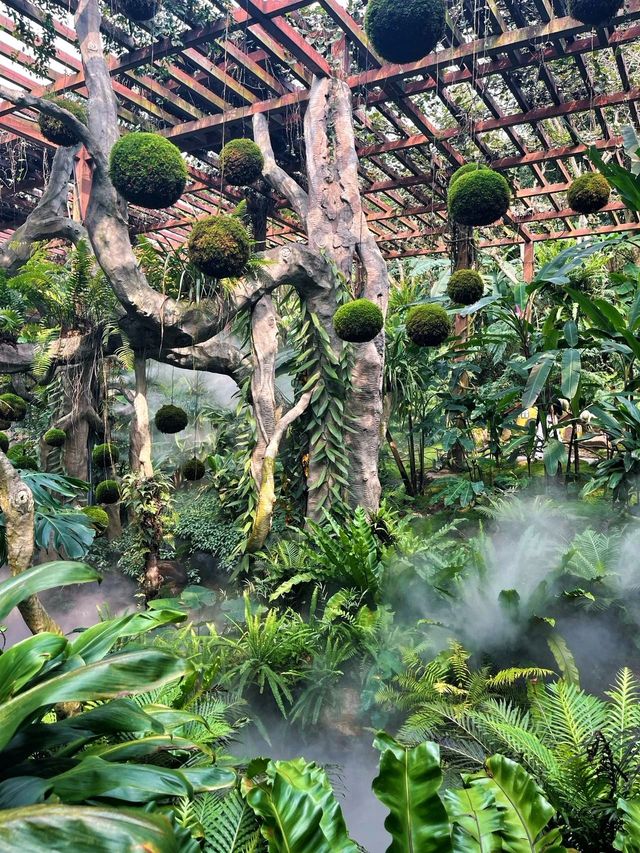 南寧熱門打卡位大盤點，分分鐘影出人生相片！