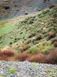 仙境!烏魯木齊周邊一日遊!