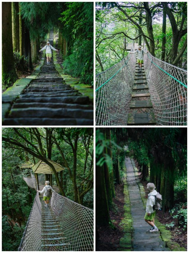 雅安蒙頂山全攻略|20℃避暑秘境·成都自駕2小時直達 雅安蒙頂山全攻略|20℃避暑秘境·成都自駕2小時直達