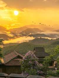 普洱必玩全攻略