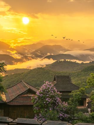 푸얼에서 꼭 봐야 할 목적지에 대한 완벽한 가이드