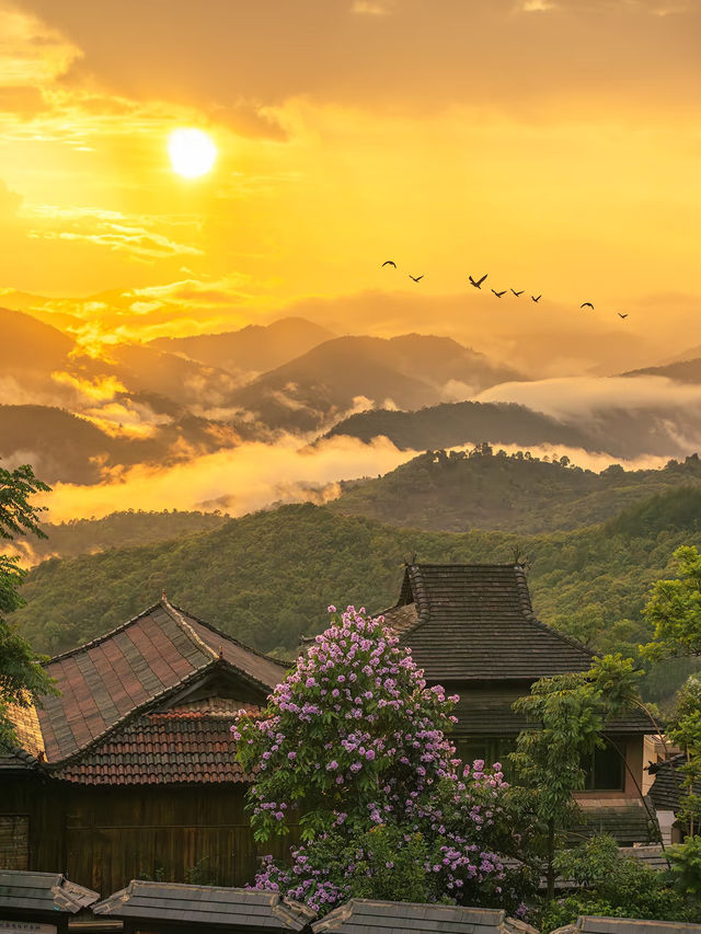 普洱必玩全攻略