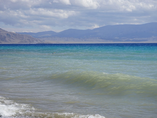 💙 赛里木湖 Sayram Lake – “The Last Tear of the Atlantic” 🌊🏔️ 💙 赛里木湖 Sayram Lake – “The Last Tear of the Atlantic” 🌊🏔️