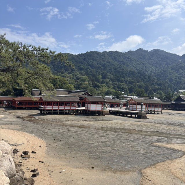 【宮島】干潮の鳥居と名物グルメが楽しめる世界遺産の島