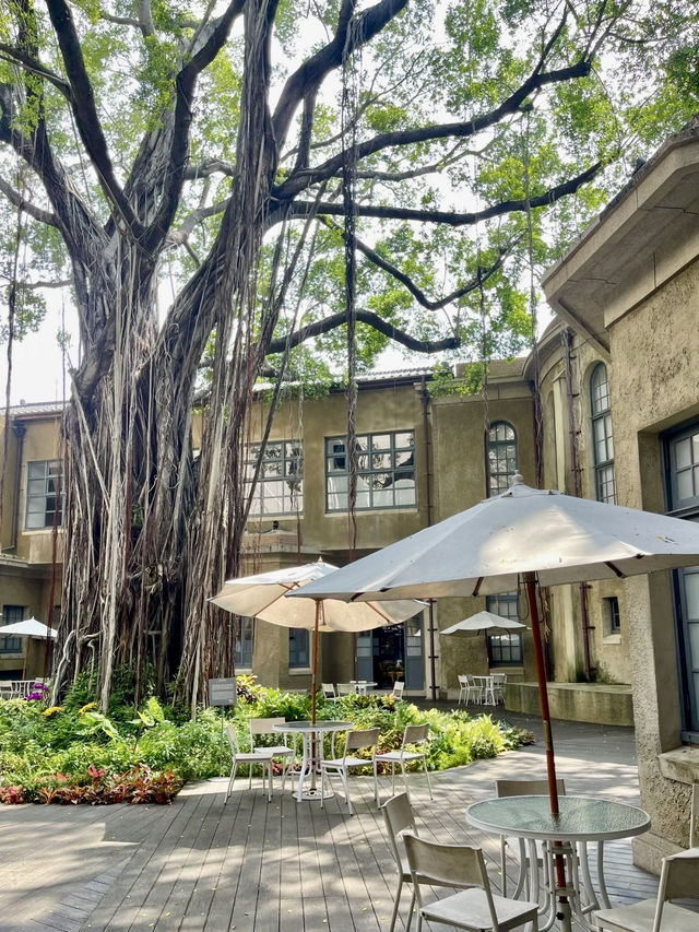 城市的另一扇窗——台南美術館二館