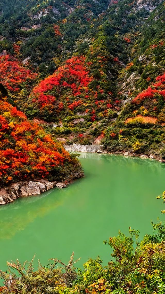 秦嶺之秋的 天花板 秦嶺之秋的 天花板