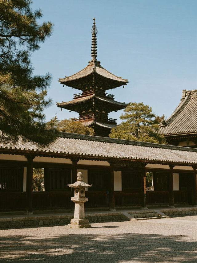 正倉院手記｜在一千三百年的寶庫中打撈盛唐月光
