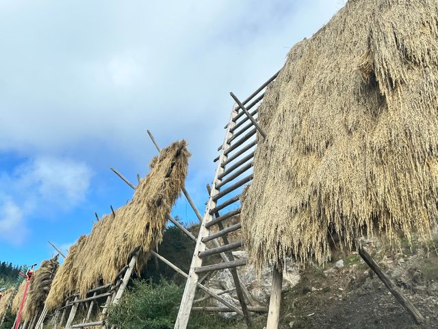 甘南5日遊｜在扎尕那遇見最美的夏日藏寨