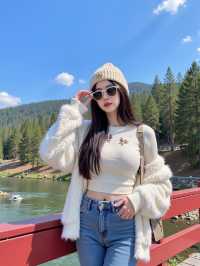 墜入內蒙秋日童話！阿爾山的金秋美到窒息
