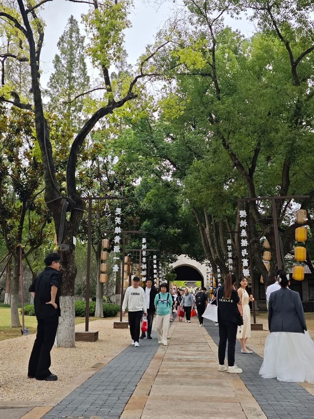 在嘉興子城，破解一座千年古城的身世密碼！
