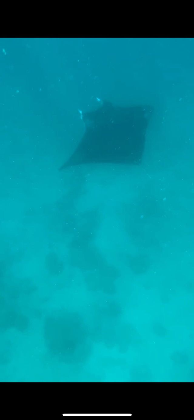 Family Dive Adventure in Vilamendhoo