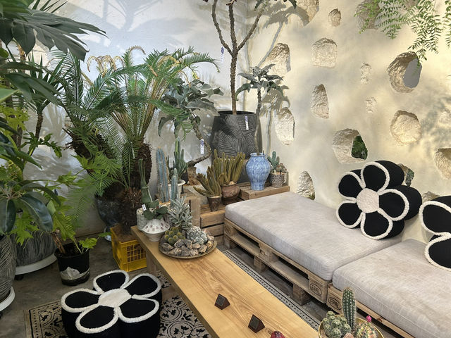 🌿 深圳花卉市場｜與植物來場浪漫的近距離約會 🌸