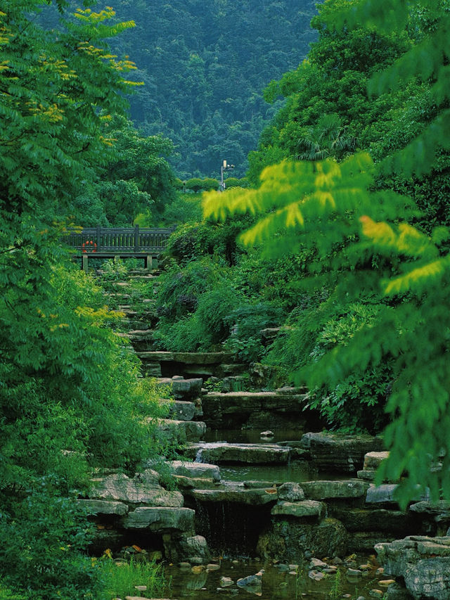 長沙小眾徒步秘境 | 桃花嶺，藏在城市旁的山野趣處 