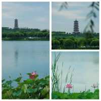 正定中心湖公園，石家莊親子遛娃的寶藏地