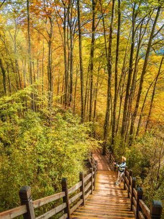 Rated by National Geographic as China's most beautiful secret red leaf destination, how amazing is it