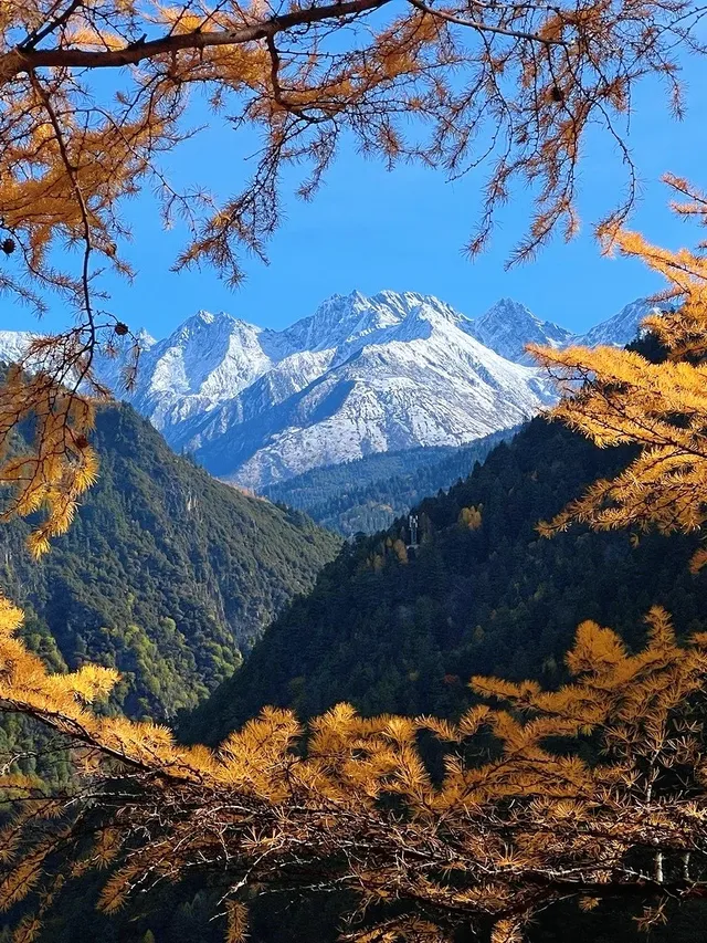 10月賞秋米亞羅彩林徒步一日遊快衝