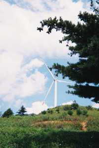 不是新疆!是湖北恩施被嚴重低估的高山草原!