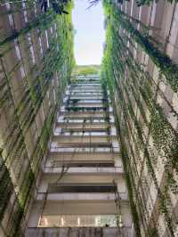 在深圳,找到了一個能讓時間慢下來的地方