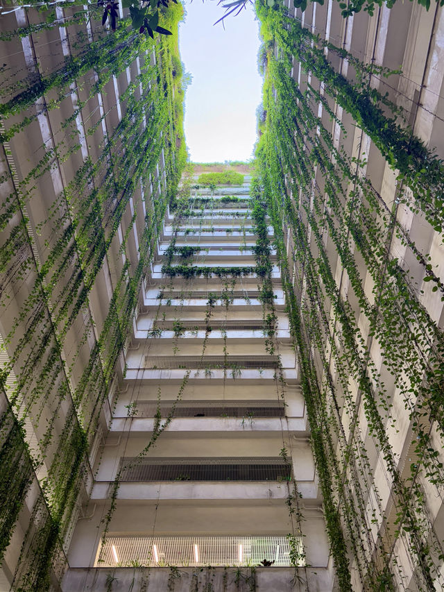 在深圳,找到了一個能讓時間慢下來的地方 在深圳,找到了一個能讓時間慢下來的地方