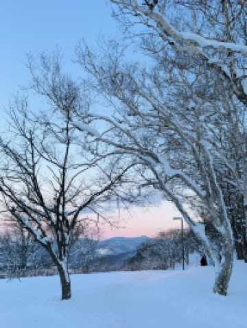 🩵北海道攻略|吐血整理版錯過等一年