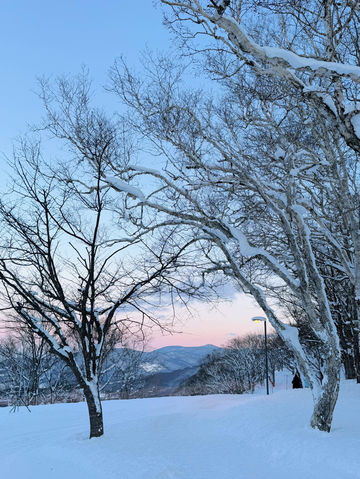 🩵北海道攻略|吐血整理版錯過等一年 🩵北海道攻略|吐血整理版錯過等一年