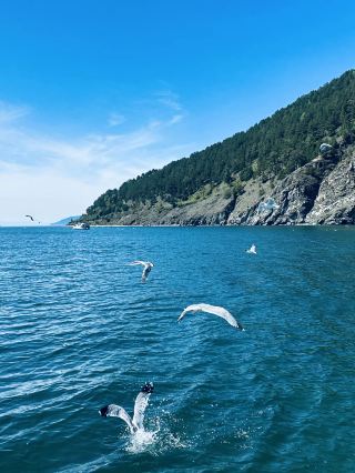 8-Day Autumn Tour Guide to Russia, Quick Booking