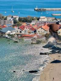 青島1元環海公交yyds！沿途海景美翻天