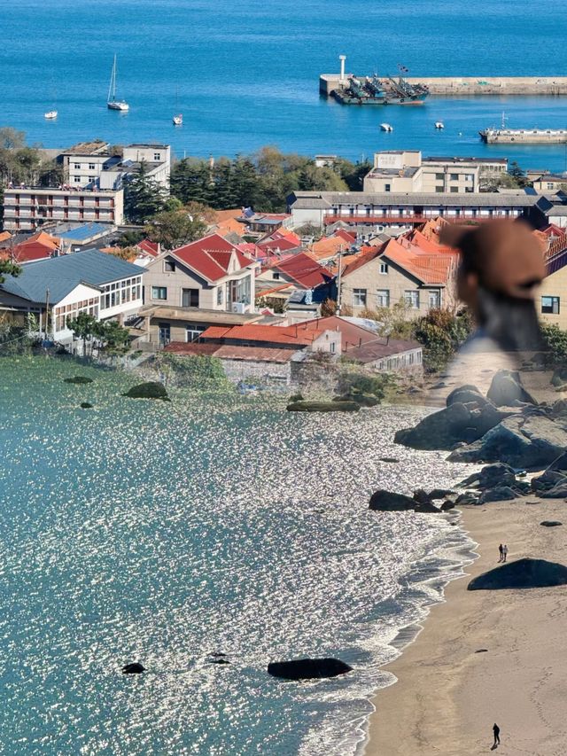 青島1元環海公交yyds！沿途海景美翻天