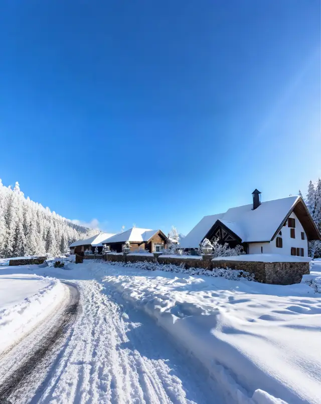 Complete Guide to Xiling Snow Mountain: Encounter the "Eternal Snow" in the Poetry of Du Fu