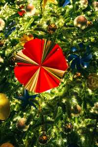 魔都外灘半島酒店超大聖誕樹已就位