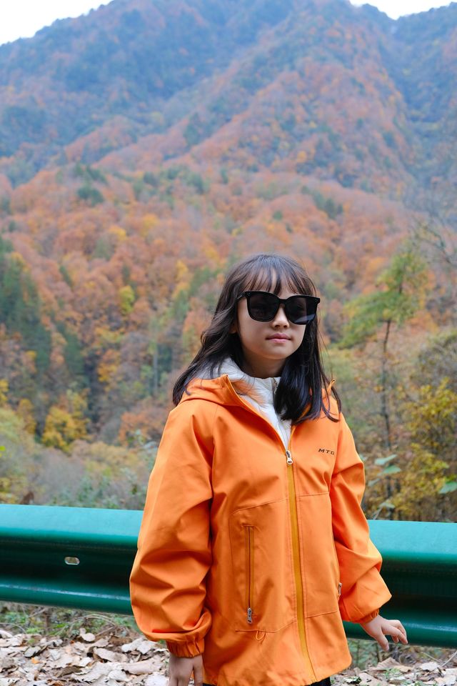 親子徒步看紅葉寶藏地，十八月潭保姆級攻略