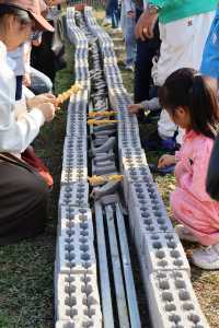 莫干山親子遊必去這個農場娃玩到不肯回家