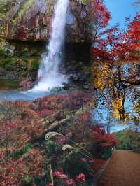 四明山的秋，是上帝打翻的調色盤