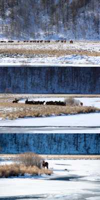 零下40℃的童話秘境!阿爾山四天三夜保姆級攻略,刷到就是賺到