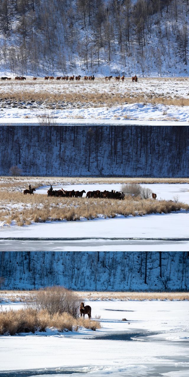 零下40℃的童話秘境!阿爾山四天三夜保姆級攻略,刷到就是賺到 零下40℃的童話秘境!阿爾山四天三夜保姆級攻略,刷到就是賺到