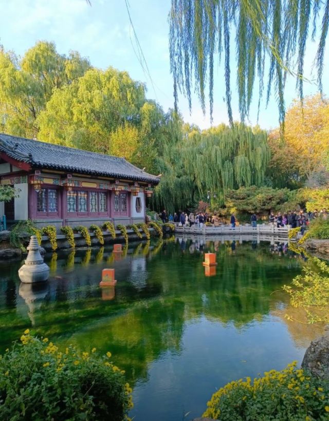 濟南趵突泉賞菊記｜三股清流滿園秋色太治癒了！