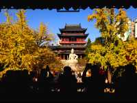 南京丨金陵古寺賞秋必入