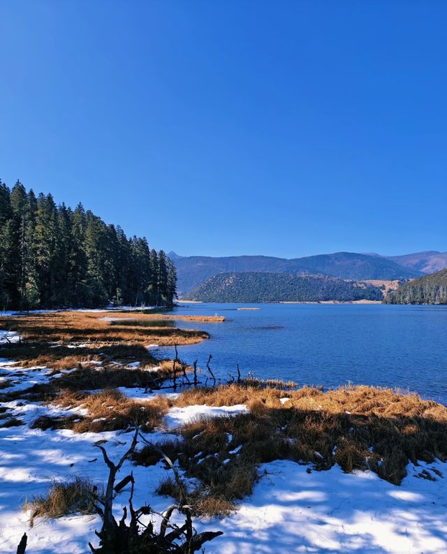 雲南秋日封神!普達措私藏玩法,避開人潮邂逅童話秘境 雲南秋日封神!普達措私藏玩法,避開人潮邂逅童話秘境