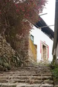 在浦城，我找到了一個“龍”影隨形的古村落