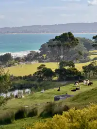 從墨爾本出發2小時🫏牛馬本人體驗退休生活