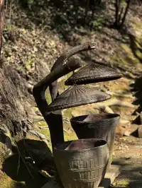 張家界徒步走斷腿系列11.13